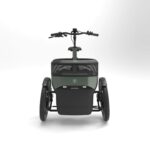 Thuja - Afbeelding 3